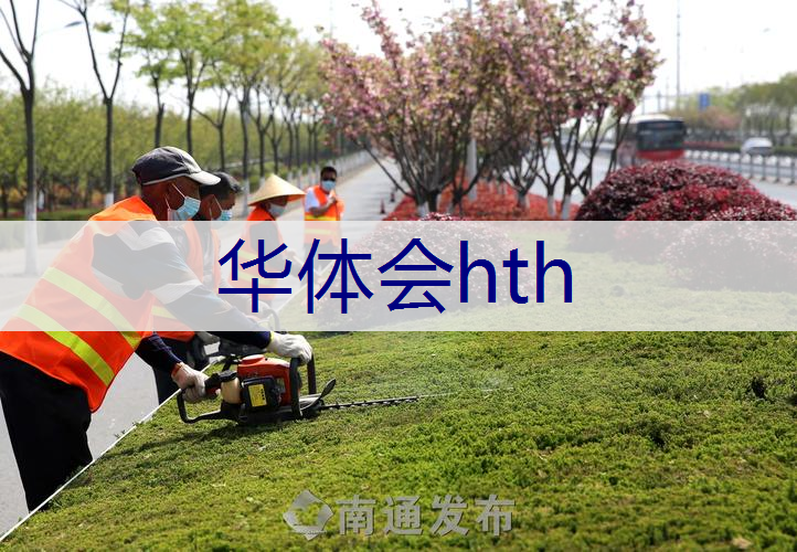巢湖绿化树种