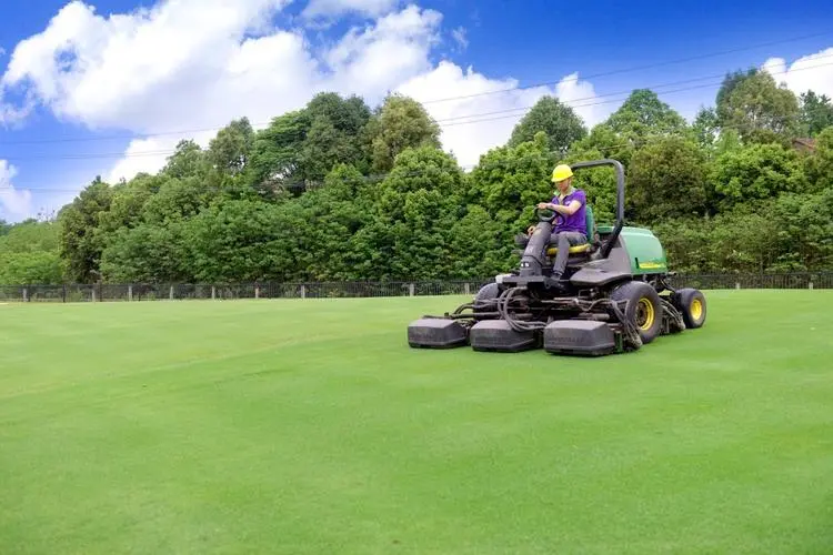 夏邑县X022县道绿化工程